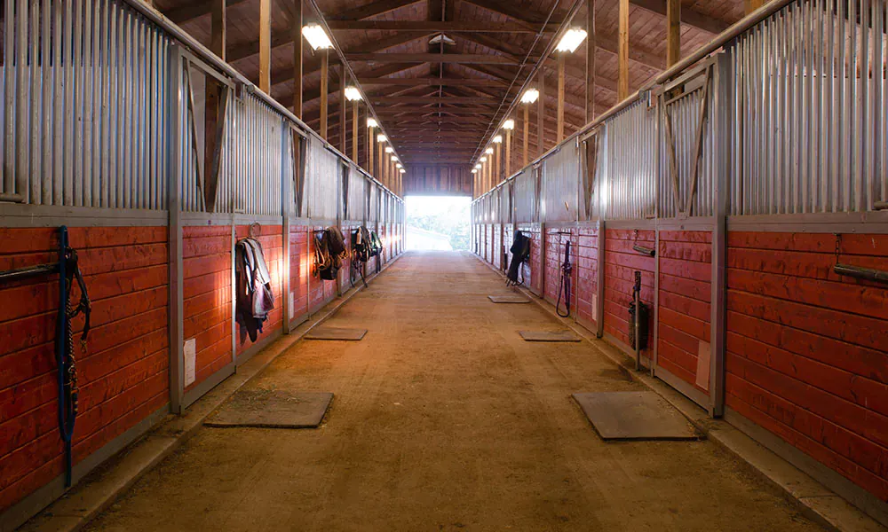 Stall
